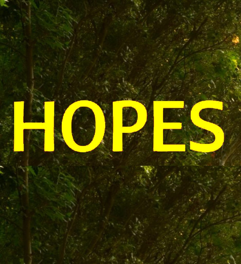 An image of trees in the background with the word 