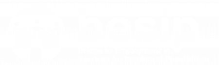 BESIP Logo_White